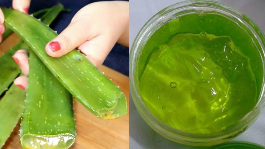 How to make homemade aloe vera gel and how to use it
